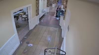 1708873708309.webm