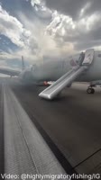 1730726418692.webm