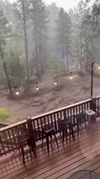 1659597839132.mp4