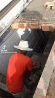 1690027251364.webm