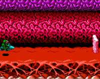 battletoads-turbo.gif