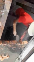 brick gravity.mp4