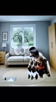 VID20250815022206358.mp4