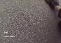 1650586241879.mp4