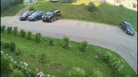 16293748246480.mp4