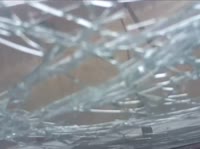 17560810658580.webm