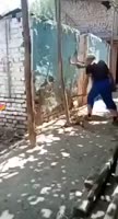 1703799908280.mp4