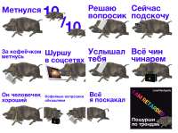 1756195605422.jpg