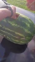 22.mp4