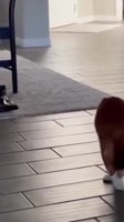 17560718200010.mp4