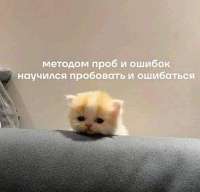 IMG20250730185320737.jpg