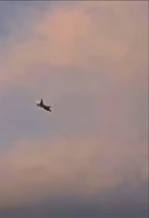 17564060715560.mp4
