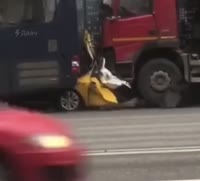 16673747630531.mp4