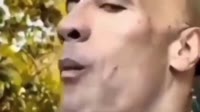 17488498678590.mp4