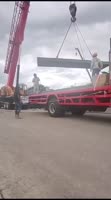 17553559234430.mp4