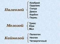 1756953432850.jpg