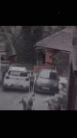 1678126612134.mp4