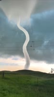 1619148706314.webm