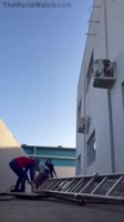 1681163467947.mp4