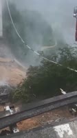 17510975225392.webm