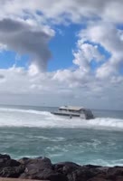 1730419633562.webm