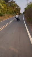 1678282978525.mp4
