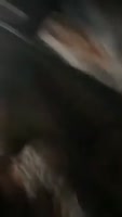 1740846581342.mp4