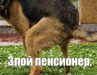 DE333DD6-3C2B-43E1-AC03-3139599016C7.jpeg