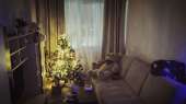 photo2017-12-2814-46-58.jpg