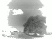 videoplayback (5).webm