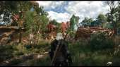 screenshotthewitcher3.jpg