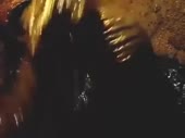 50 оттенков коричневого.webm