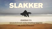 15169504170031.webm