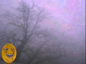 3.webm