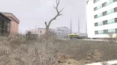37.webm