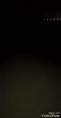 Шамиль.webm