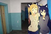34.webm