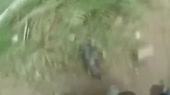 Откачал щенка.mp4