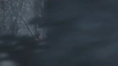 14739776367210.webm