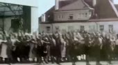 15184272815770.mp4
