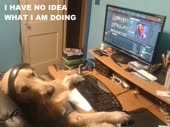 15188724028300.mp4