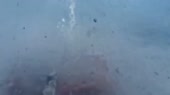 15157654684460.webm