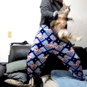 15212921291483.webm