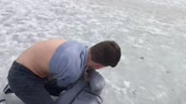 борьба школьников.webm