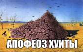 453366.jpg