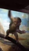 ДвачерФАПТРЕД.webm