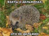 15130141705710.jpg
