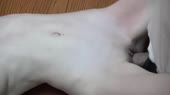 14976607064551.webm