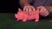 хрю.webm