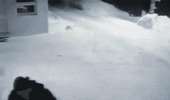 14183002088183.gif